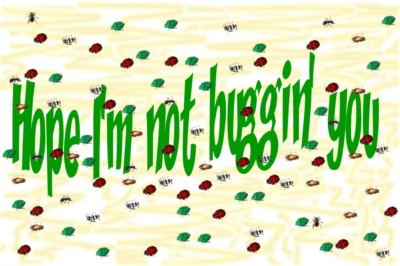 Hope I am not buggin you